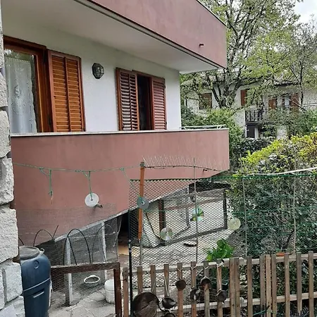 Incantevole Margherita X6 Ad *