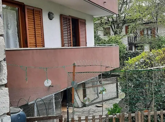 Incantevole Margherita X6 Ad *